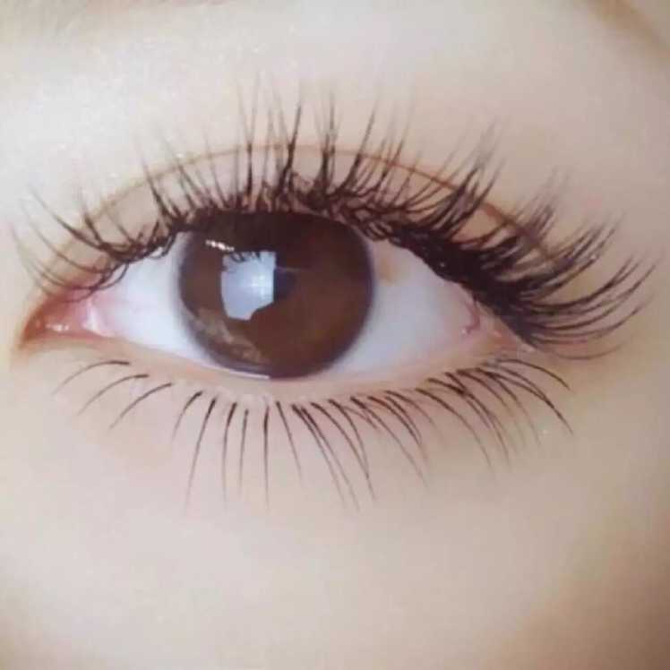 Classic Trial Set(70pcs/Eye) _ New Set $80